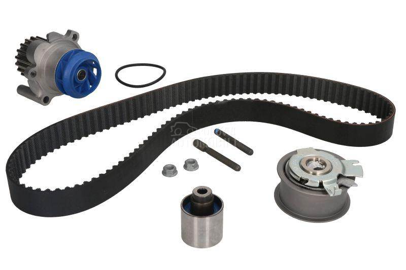 Veliki servis sa pumpom SKF