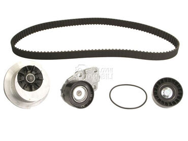Veliki servis sa pumpom INA za Chevrolet Aveo od 2005. do 2013. god.