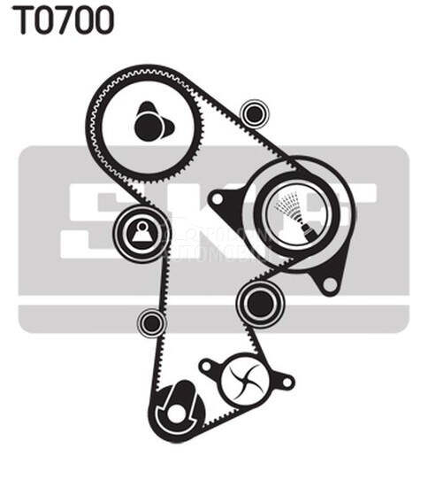Veliki servis SKF