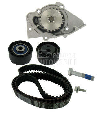 Veliki servis sa pumpom SKF