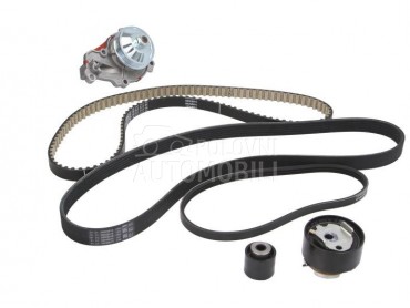 Veliki Servis sa Pumpom HEPU za Renault C-ELYSEE od 2012. do 2018. god.