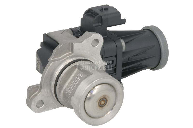 EGR Ventil