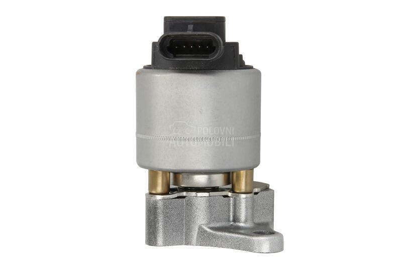 EGR Ventil