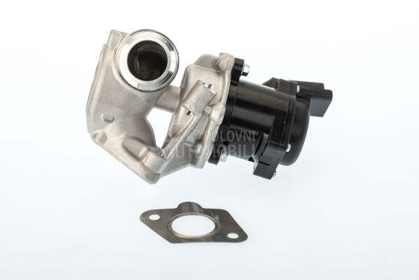 EGR Ventil