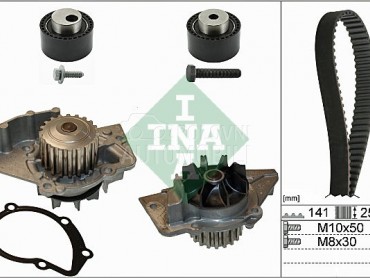 Veliki servis sa pumpom INA za Renault Xantia od 1997. do 2000. god.