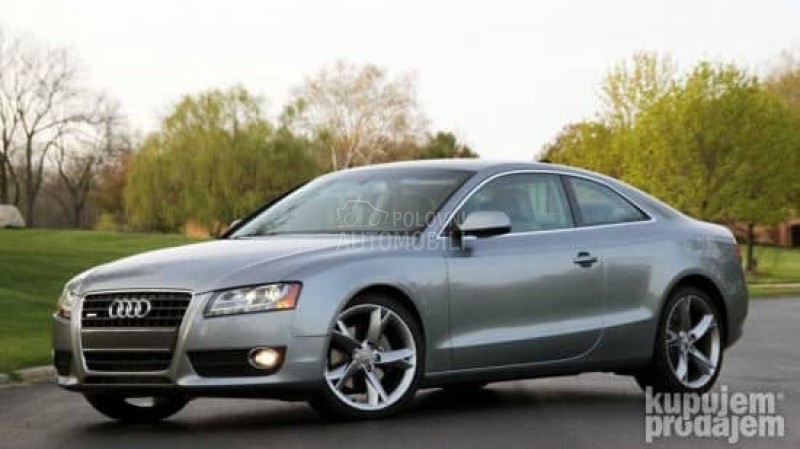 PARKING SENZOR (PDC) CRNI