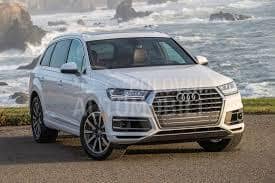 LAJSNA PREDNJEG BRANIKA SIVA (