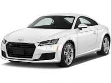 POSUDA ZA ANTIFRIZ za Audi TT od 2018. do 2021. god.