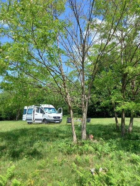 Mercedes Benz Sprinter 215