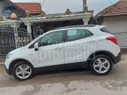 LAJSNA PREDNJEG BRANIKA DONJA