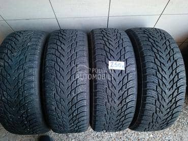 Nokian 205/55 R17 Zimska