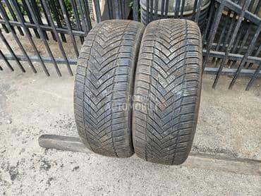 Altenzo 195/55 R16 Sve sezone