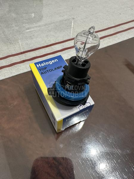 Nova sijalica 12V 24W