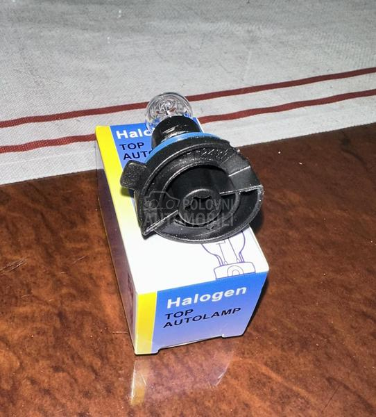 Nova sijalica 12V 24W