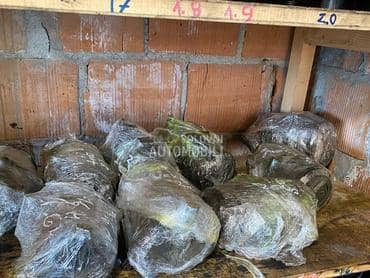 Kompresori klime za Opel Astra G, Astra H, Corsa C ...