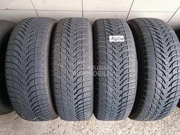 Michelin 215/60 R17 Zimska