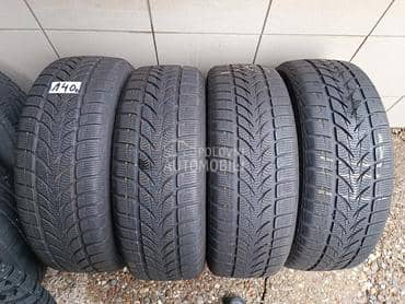 Platin Germany 205/60 R16 Zimska