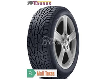 Taurus 195/65 R15 Zimska