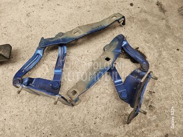 NOSAC MAKAZE SARKA VRATA HAUBE za Renault Scenic