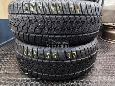 Minerva 225/55 R17 Zimska