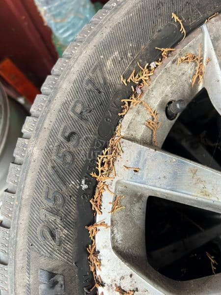 Michelin 215/55 R17 Letnja