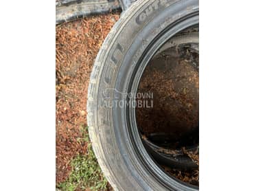 Riken 225/55 R16 Zimska