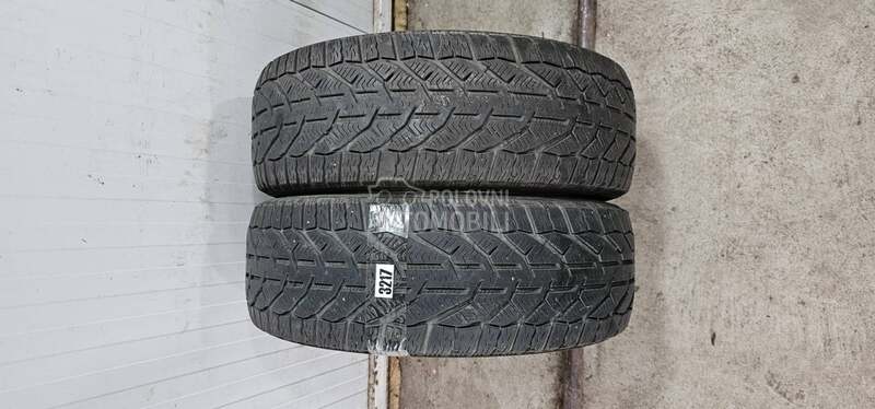 Orium 195/55 R16 Zimska