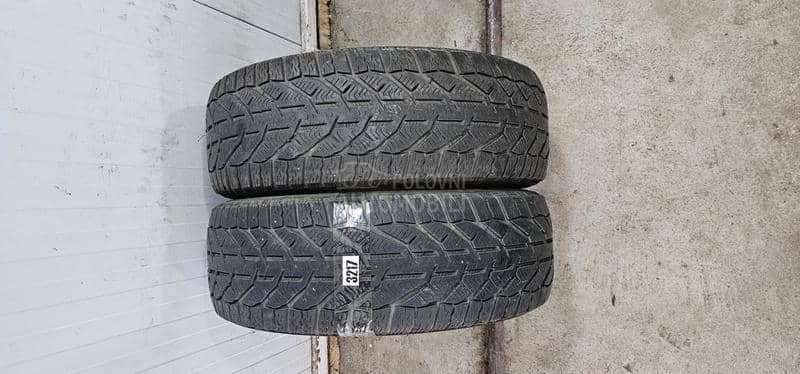 Orium 195/55 R16 Zimska