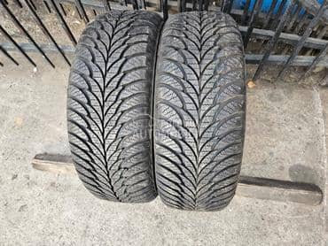 Goodyear 185/55 R15 Sve sezone