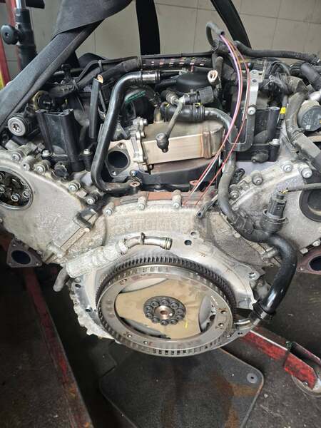 Motor 3.0 tdi BUG