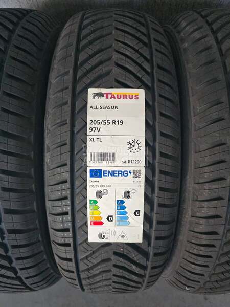 Taurus 205/55 R19 Sve sezone