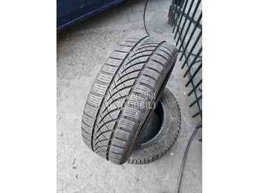 Platin Germany 195/55 R16 Sve sezone