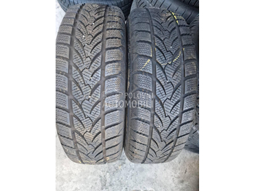 Platin Germany 175/65 R15 Zimska