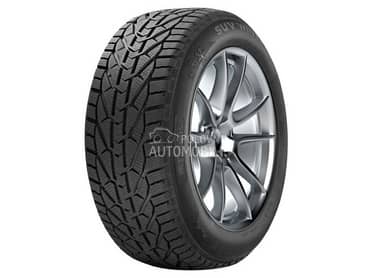 Taurus 255/45 R20 Zimska