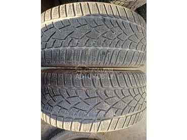 Dunlop 265/40 R20 Zimska