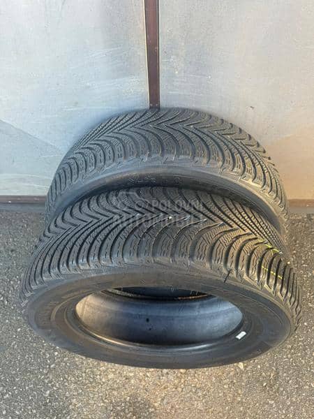 Michelin 195/65 R15 Zimska