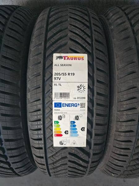 Taurus 205/55 R19 Zimska