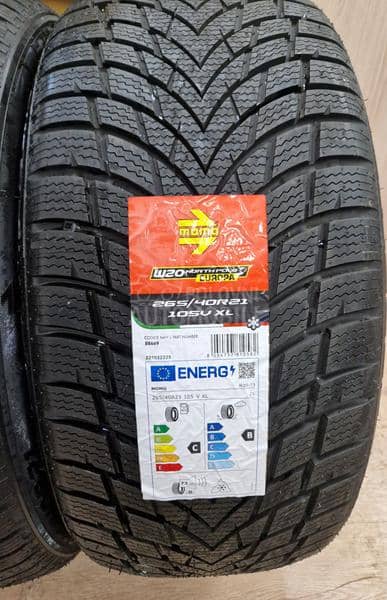 Ostalo 295/35 R21 Zimska