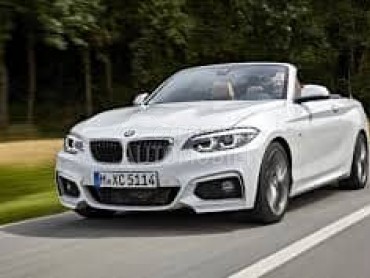 LAJSNA ZADNJEG BRANIKA DONJA S za BMW Serija 2 od 2014. do 2017. god.