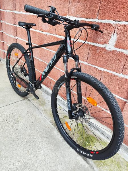 KTM Mountain Stricker 29er