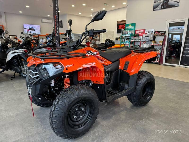 Loncin XWOLF 300