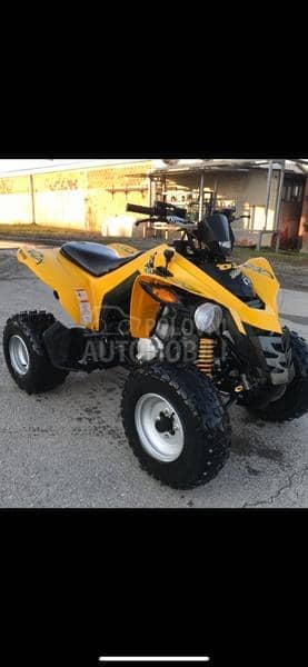 Can-am DS 250