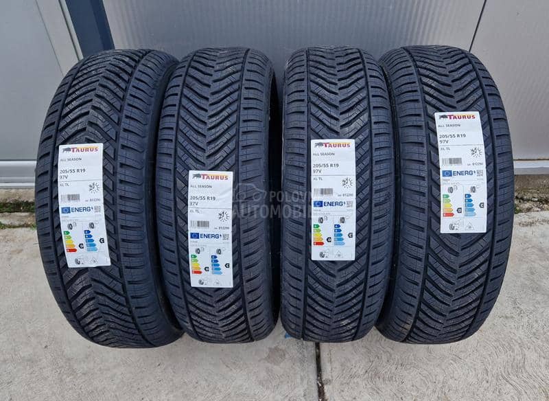 Taurus 205/55 R19 Sve sezone