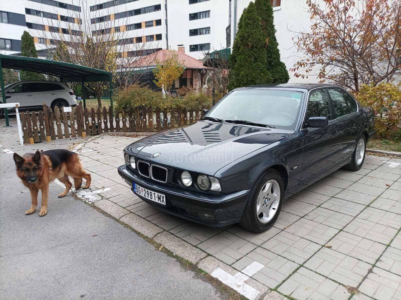 BMW 525 E34