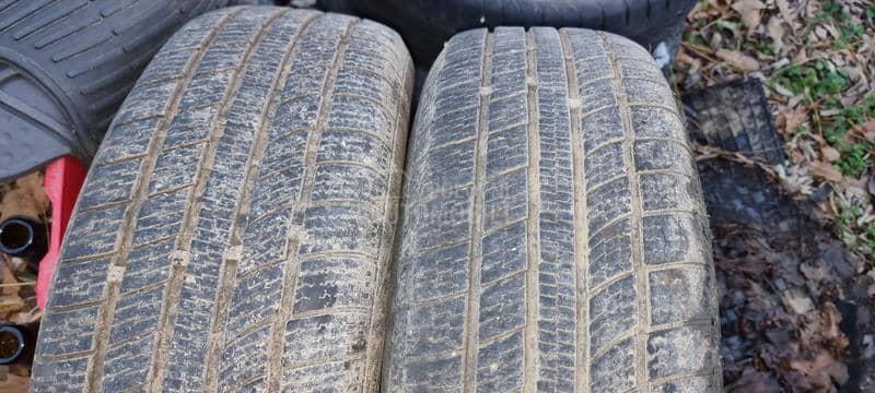 Nexen 195/65 R15 Zimska
