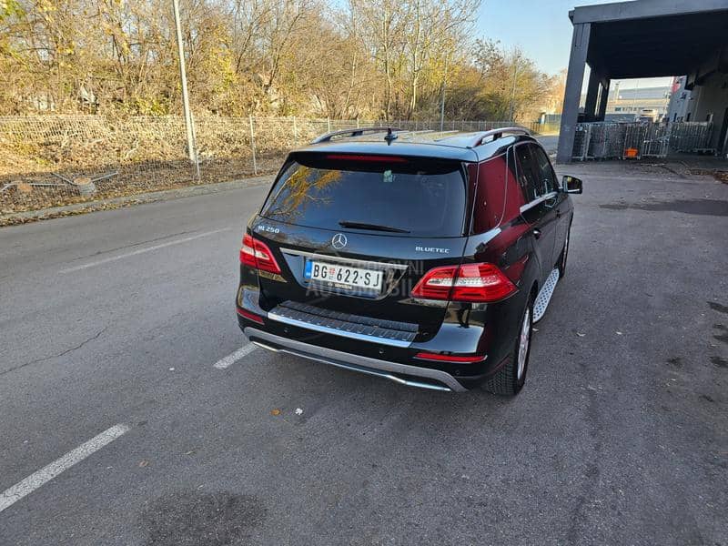 Mercedes Benz ML 250 NOV