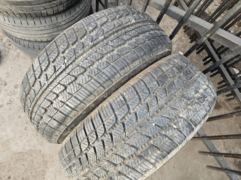 Altenzo 195/50 R16 Sve sezone