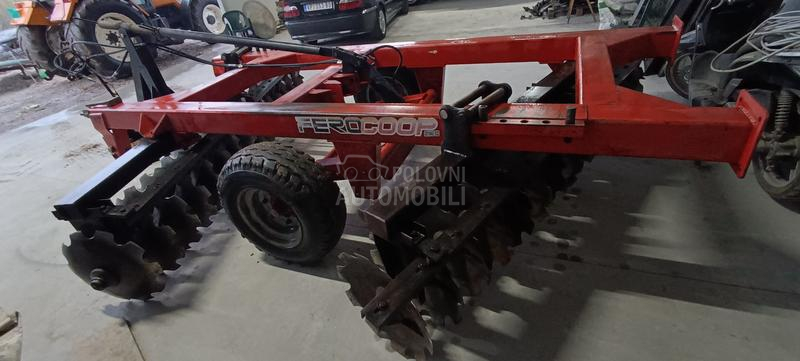 Vogel Noot Regent pluto  ferokop30