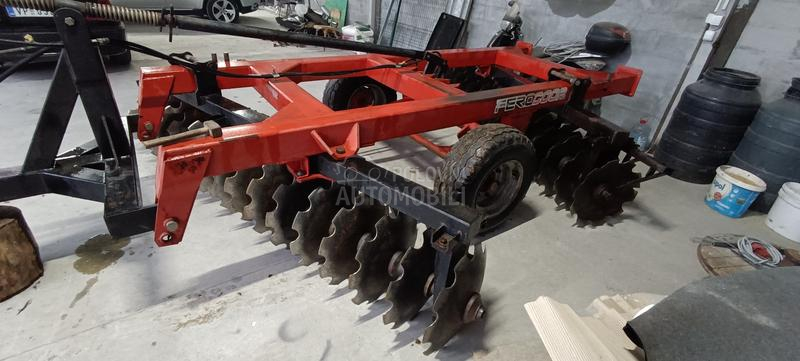 Vogel Noot Regent pluto  ferokop30