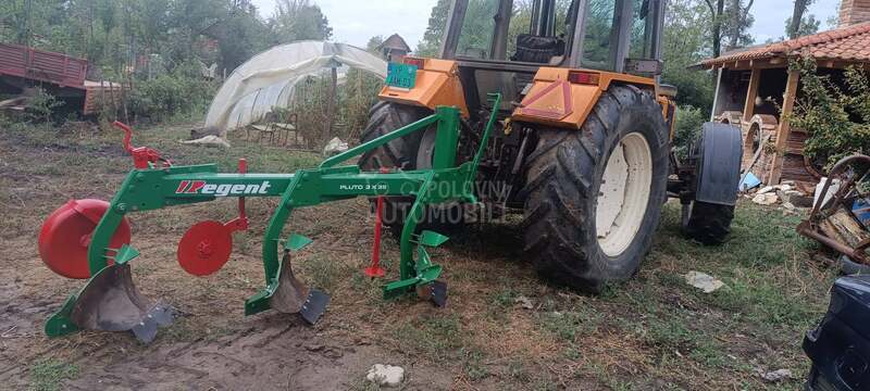 Vogel Noot Regent pluto 35
